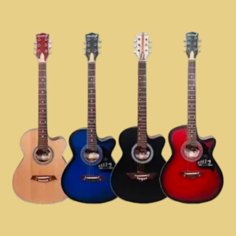 Acoustic Guitar Challenger with bag