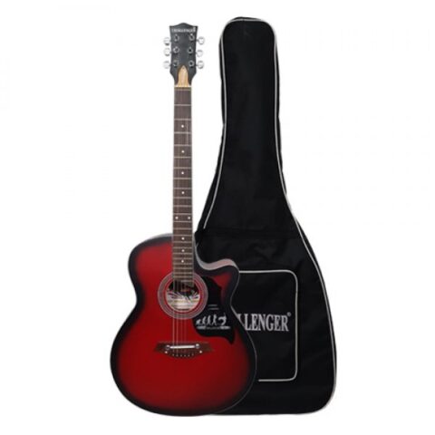 Acoustic Guitar Challenger with bag