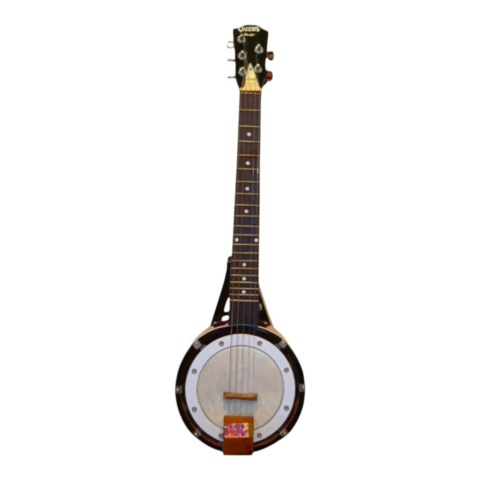 Banjo 5 Strings