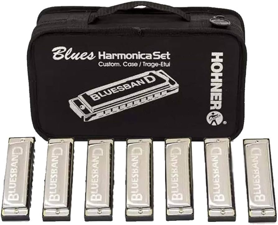 Mouth Organ Hohner Blues Set With Case